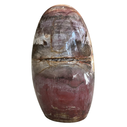 Madagascar Petrified Wood #3