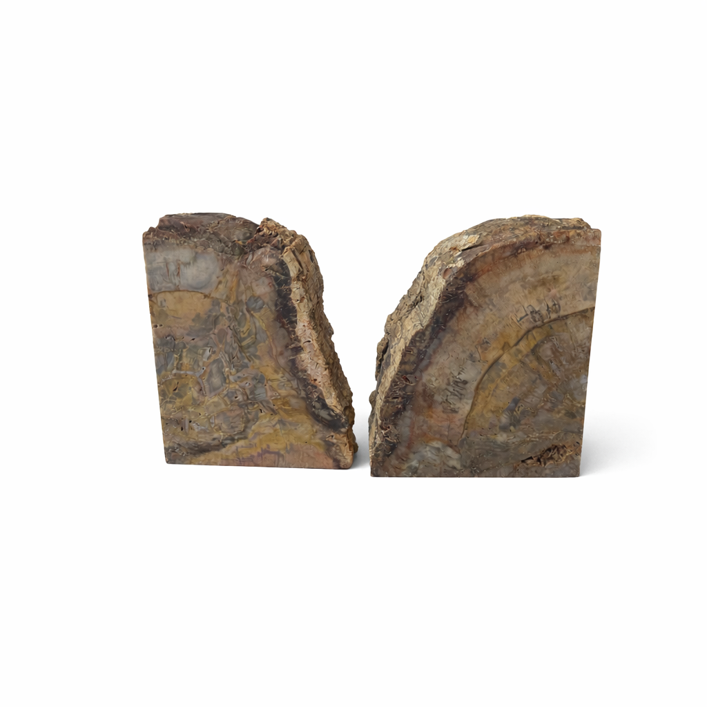 Hand Polished Petrified Wood Book Ends