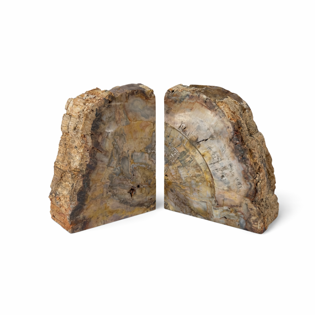 Hand Polished Petrified Wood Book Ends