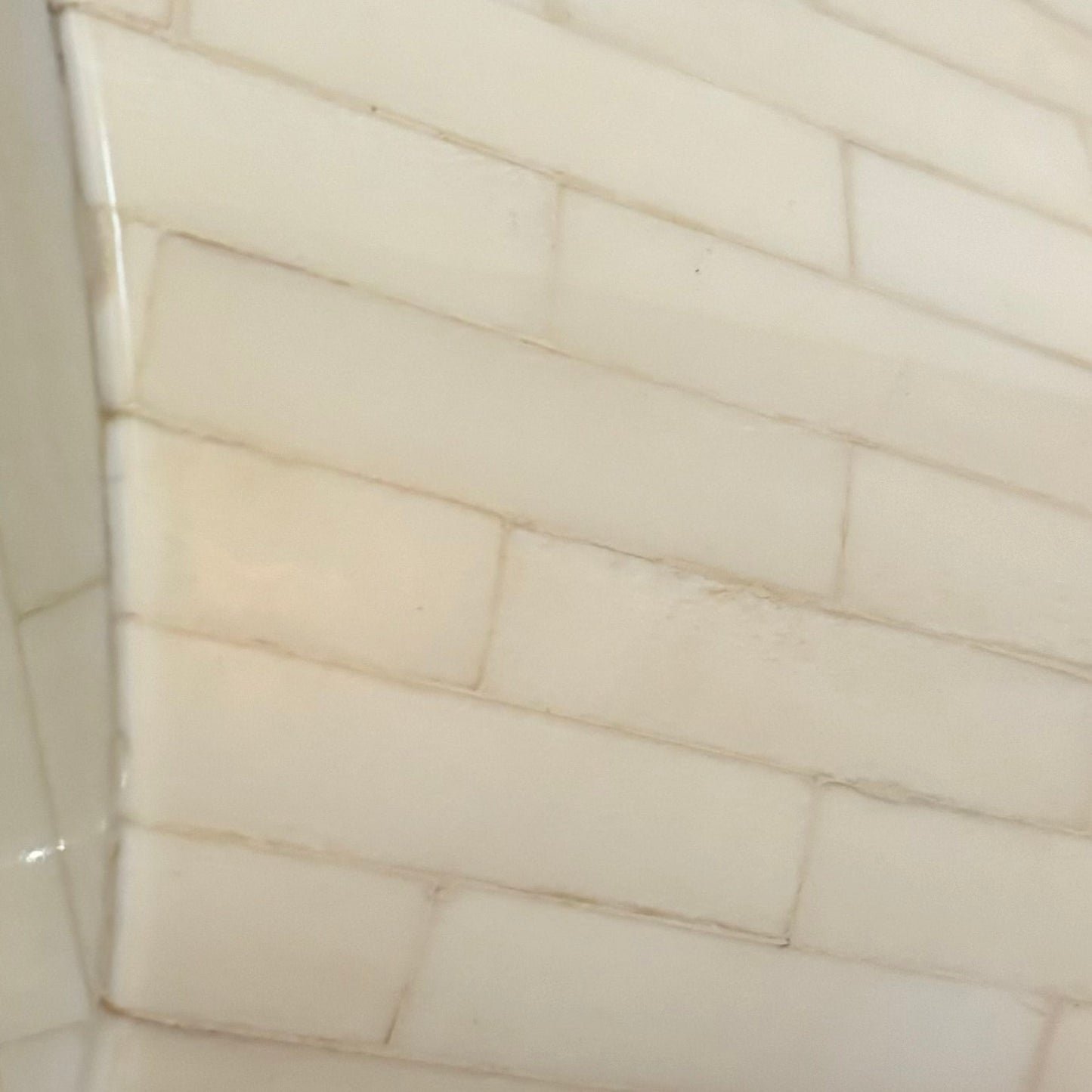 Tessellated Horn Mirror