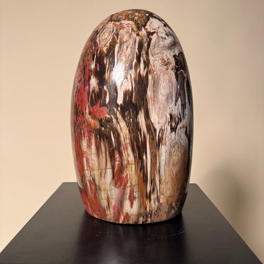 Madagascar Petrified Wood #2
