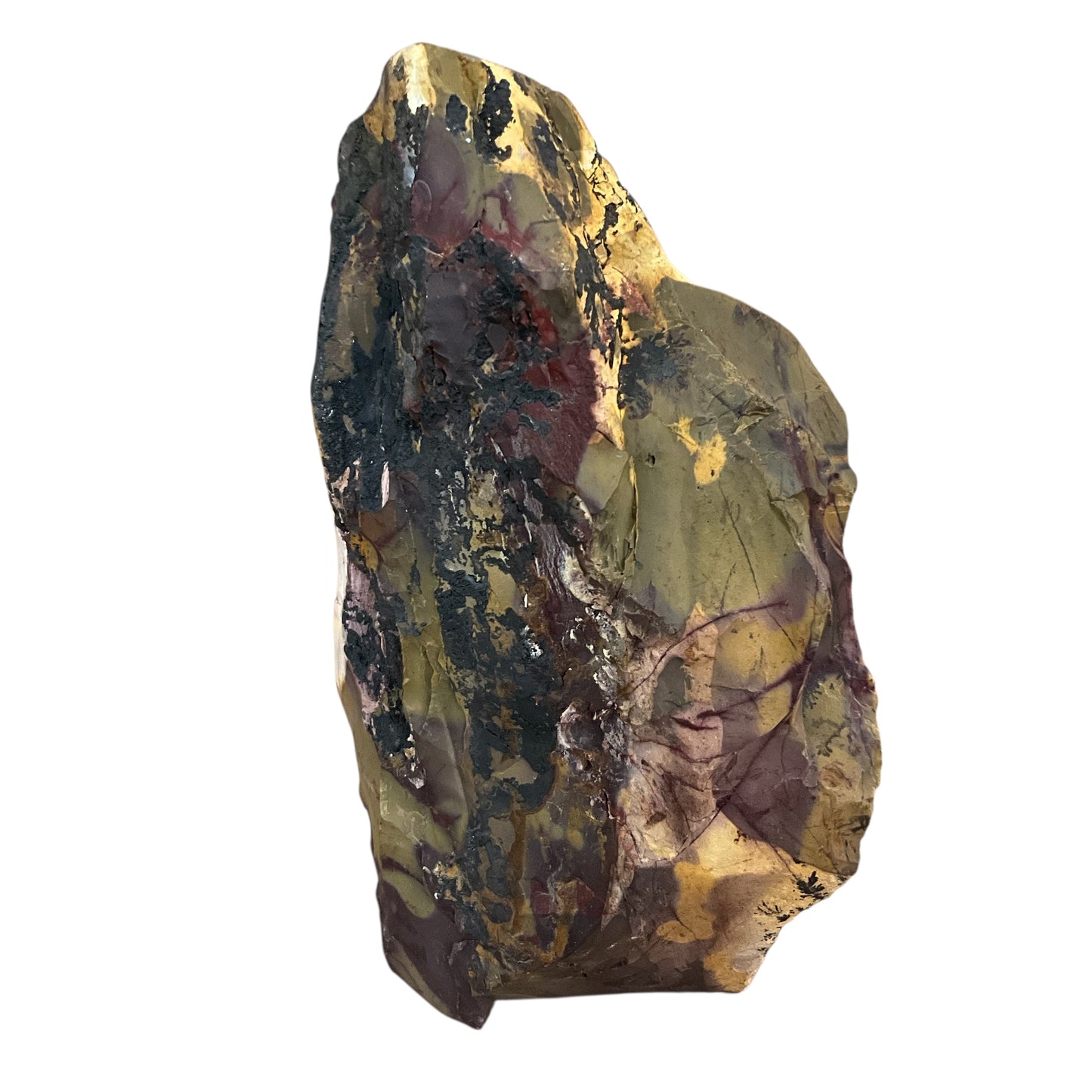 Mookiate Slab Kennedy Range Western Australia