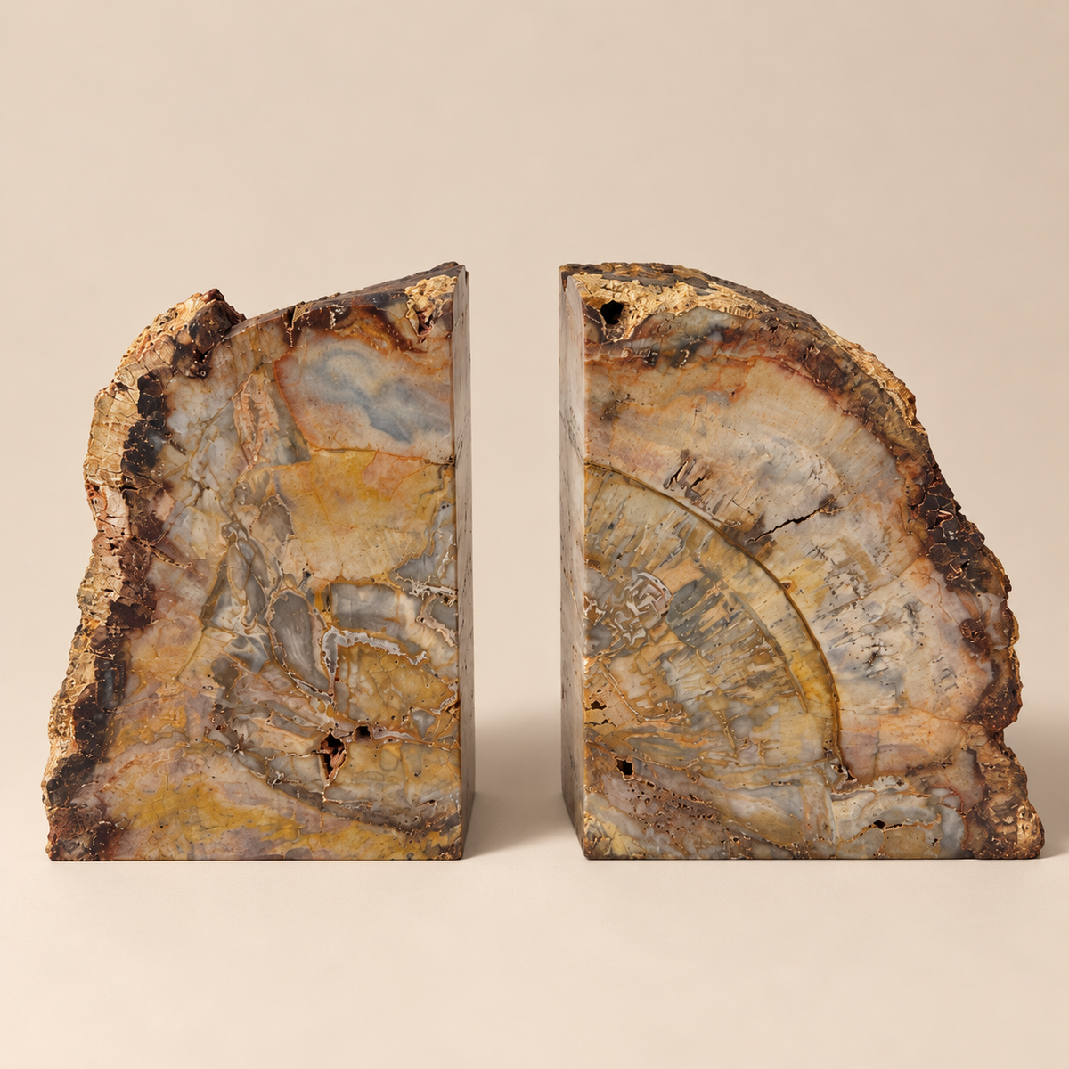 Hand Polished Petrified Wood Book Ends