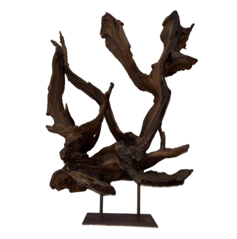 Kazu Root Sculpture on Metal Stand