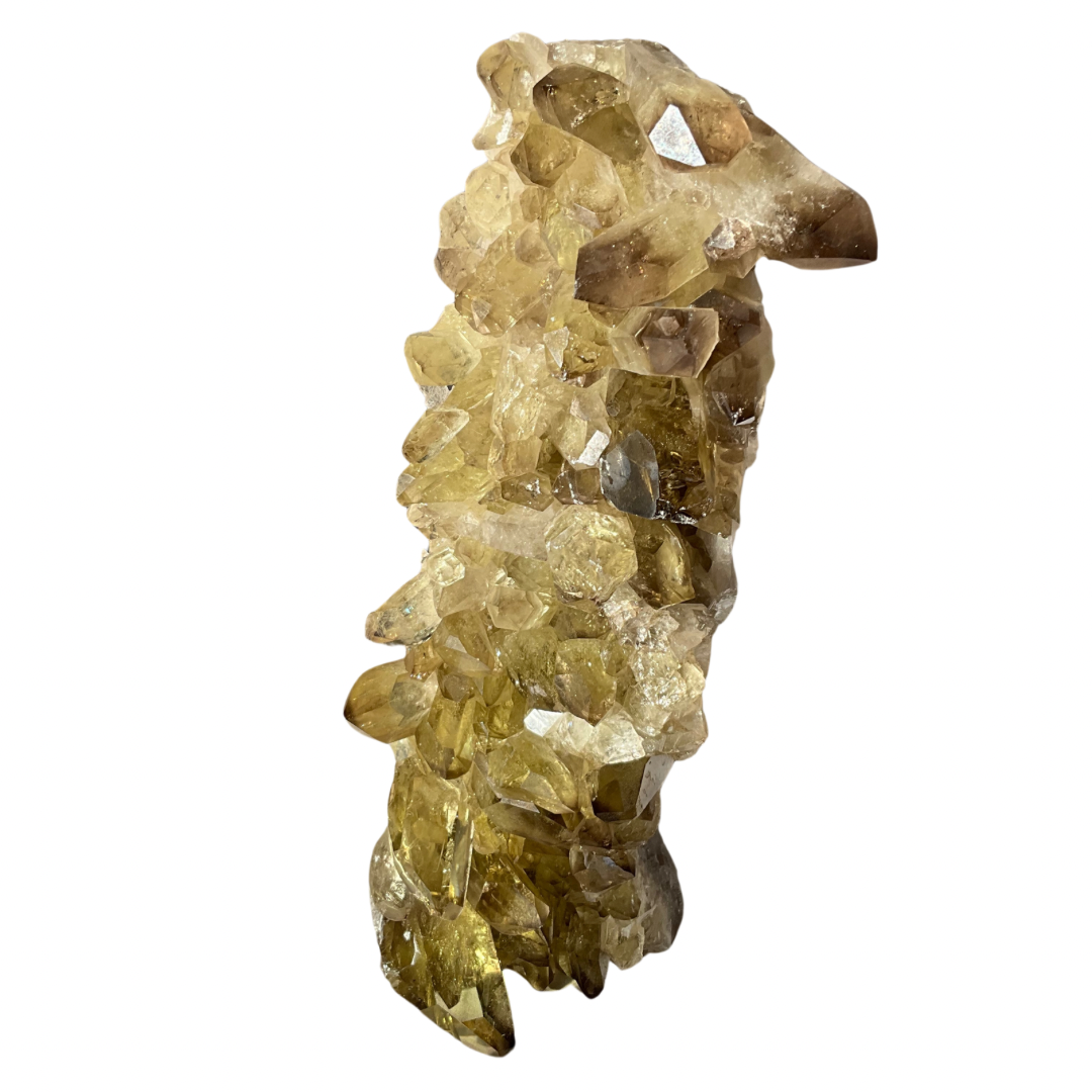 Citrine Generators Free-Standing Crystal