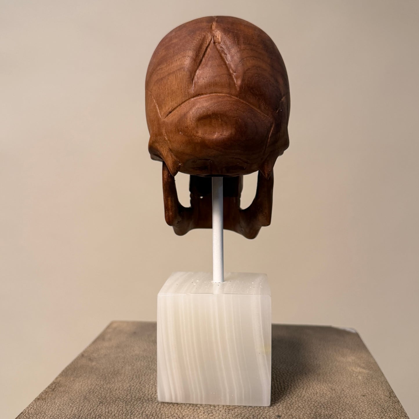 Carved Wood Momento Mori Skull on Onyx Base