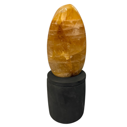 369 For House of Nulla Black Rose Candle with Golden Healer 4