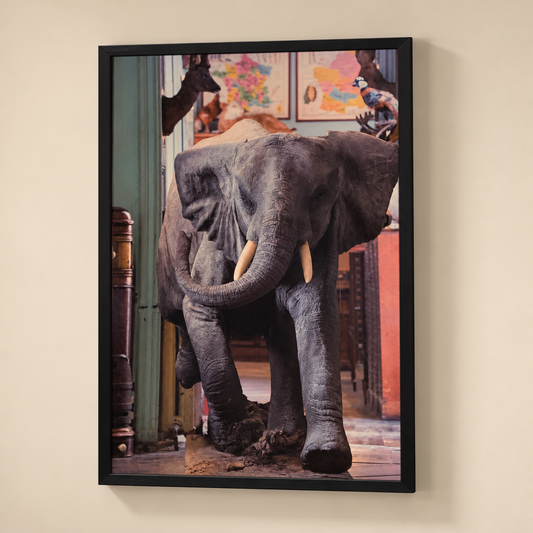 William Curtis Rolf, Deyrolle Charging Baby Elephant