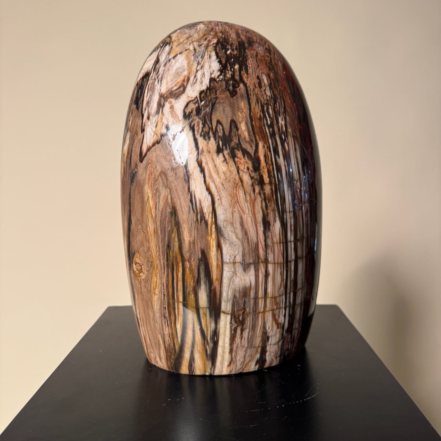 Madagascar Petrified Wood #2