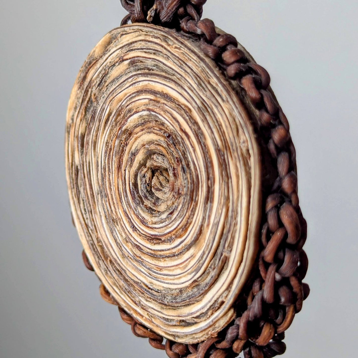 Hand Made Kelp Charm on Leather necklace