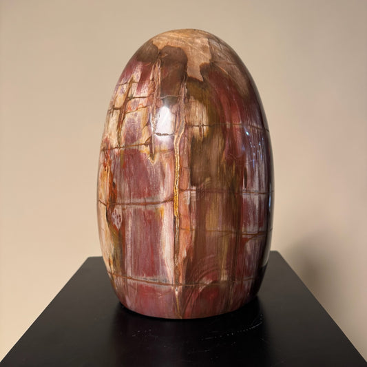 Madagascar Petrified Wood #1