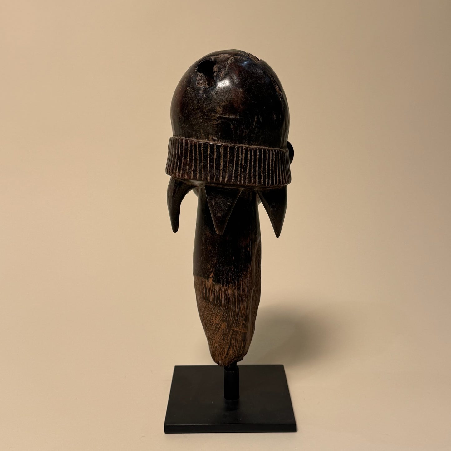 Fang Reliquary Male Head