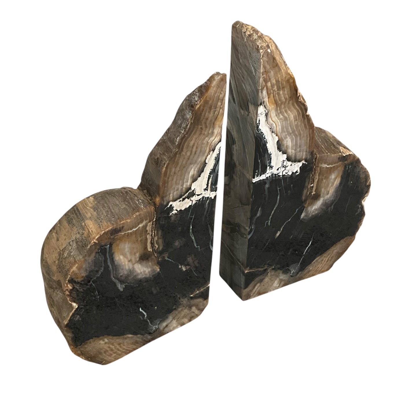 Petrified Wood Asymmetrical BookEnds
