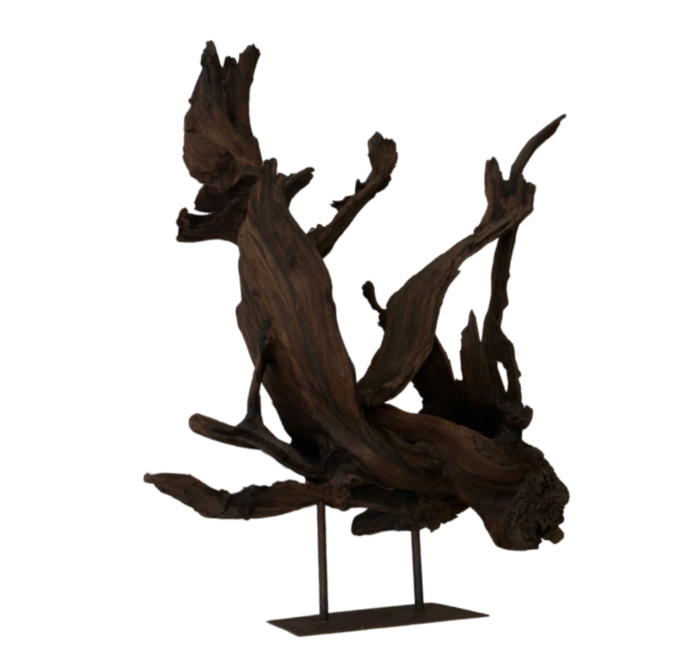 Kazu Root Sculpture on Metal Stand