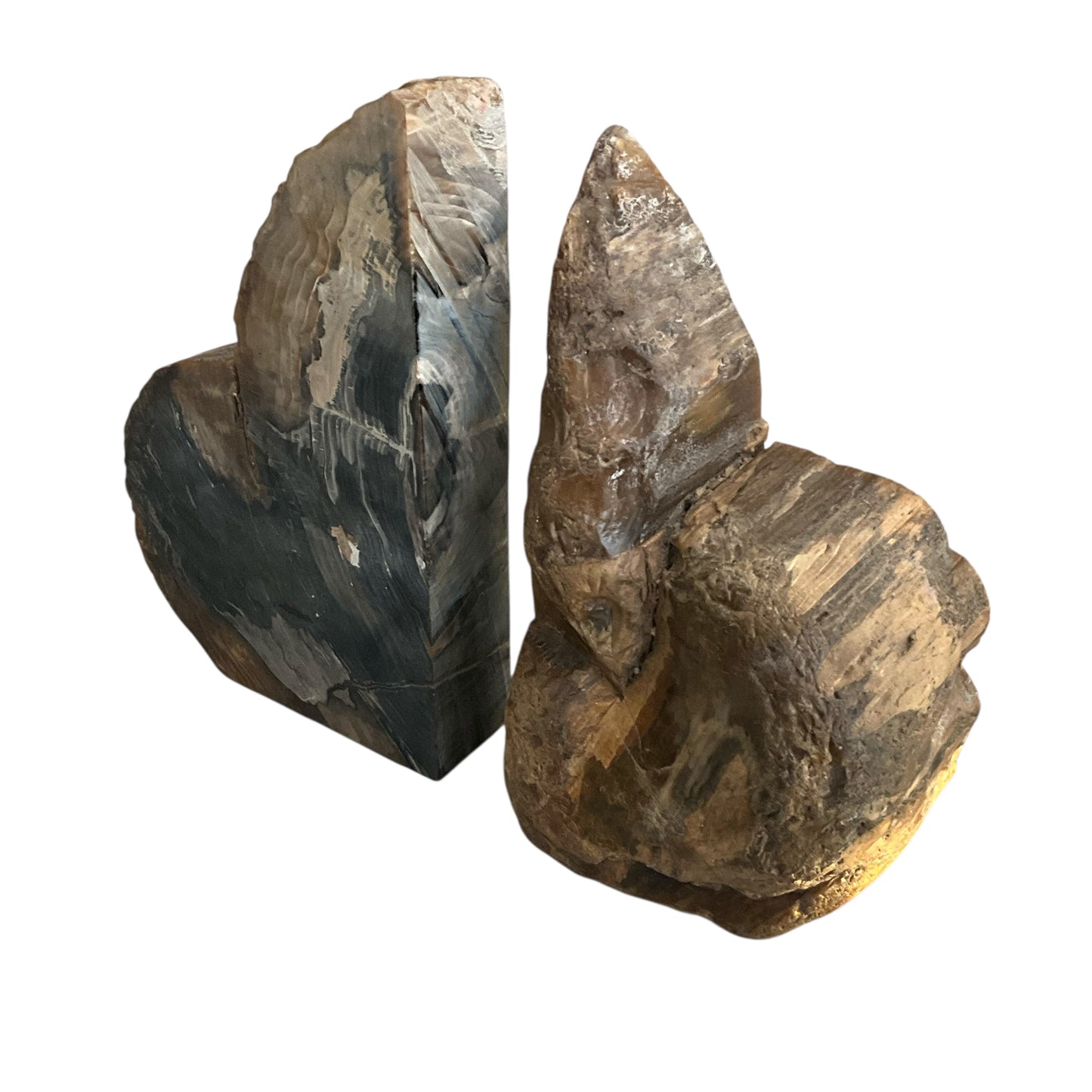 Petrified Wood Asymmetrical BookEnds