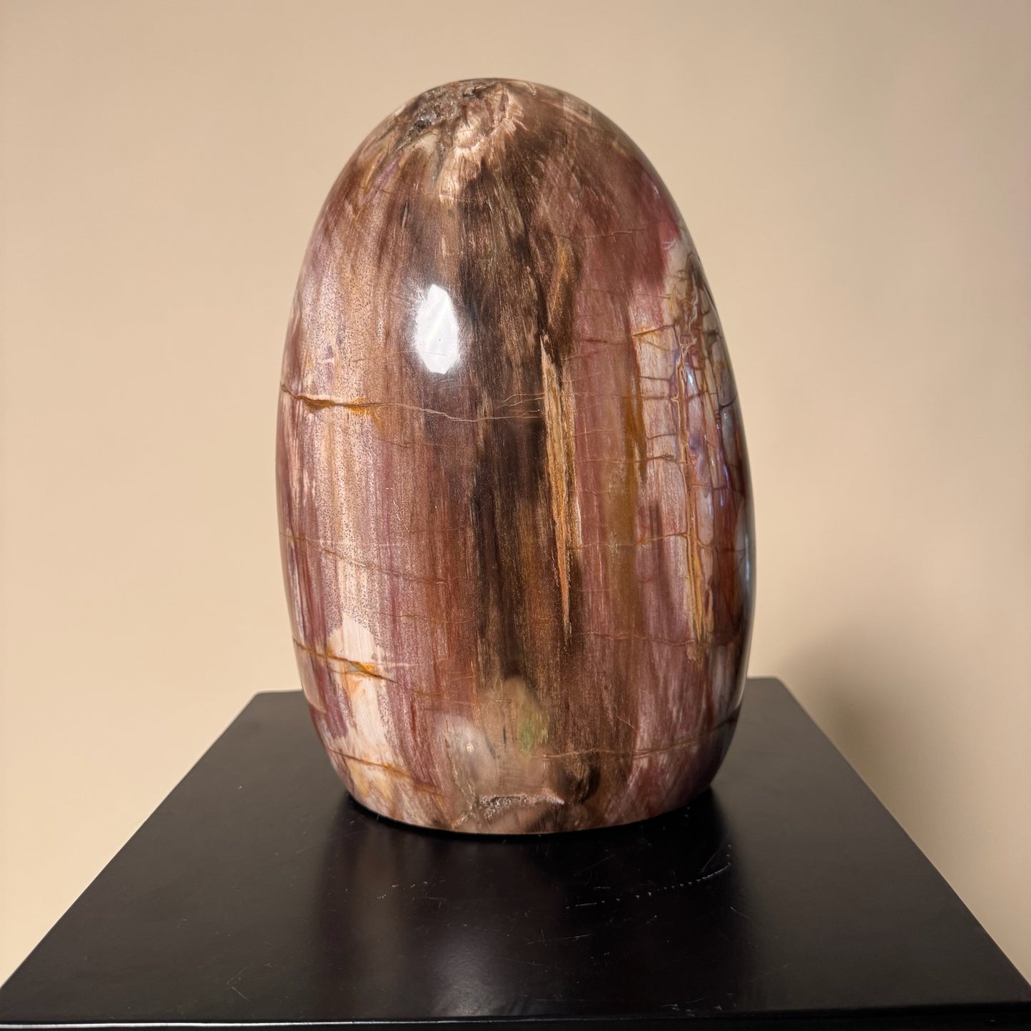 Madagascar Petrified Wood #1