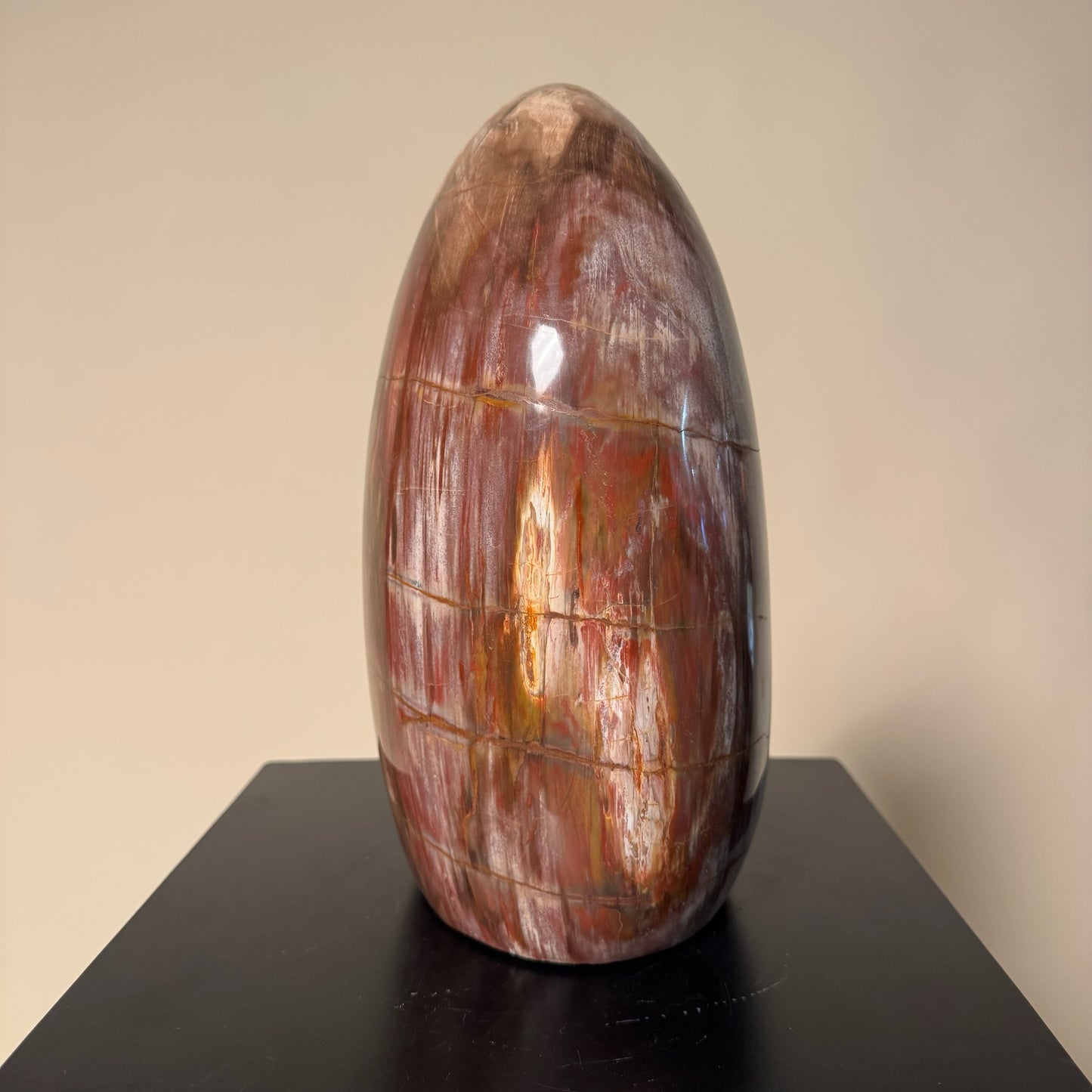 Madagascar Petrified Wood #1