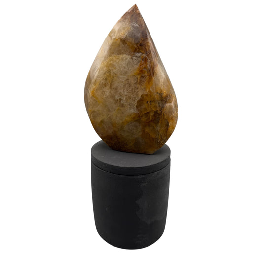 369 For House of Nulla Black Rose Candle with Golden Healer 11