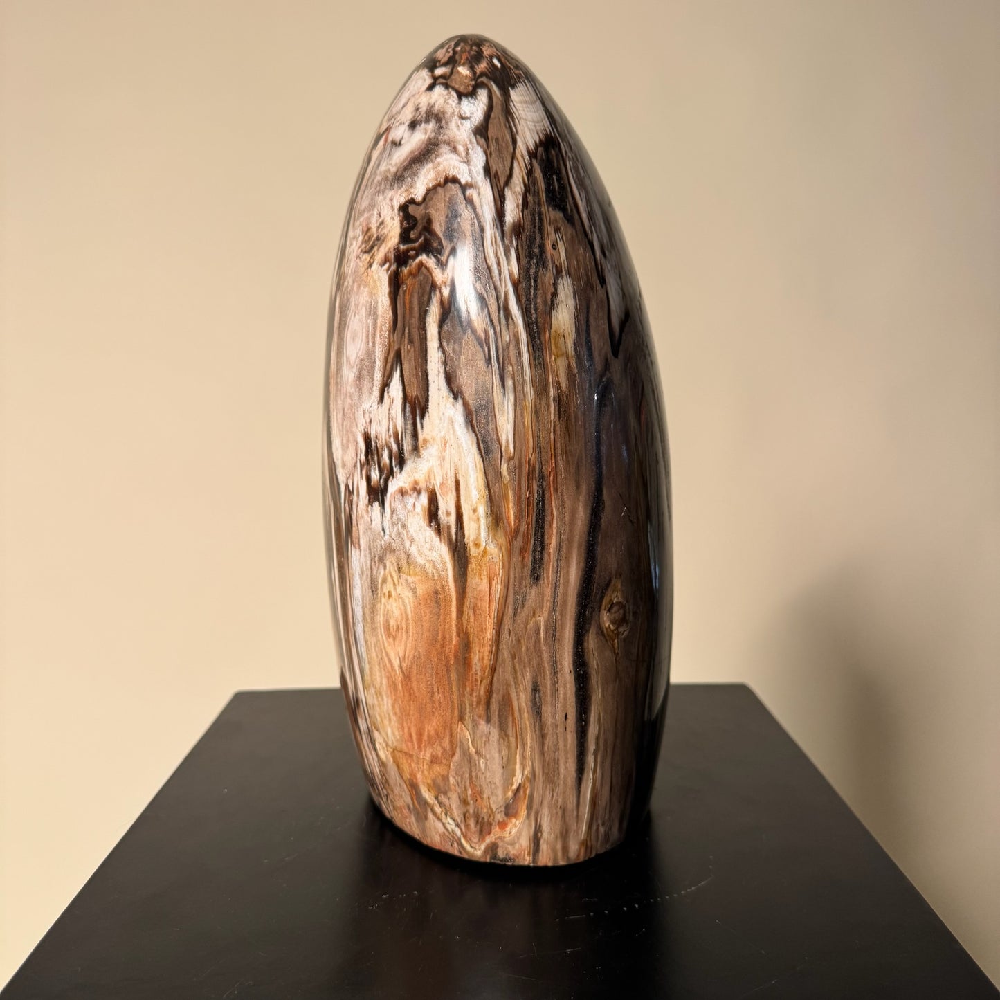 Madagascar Petrified Wood #2