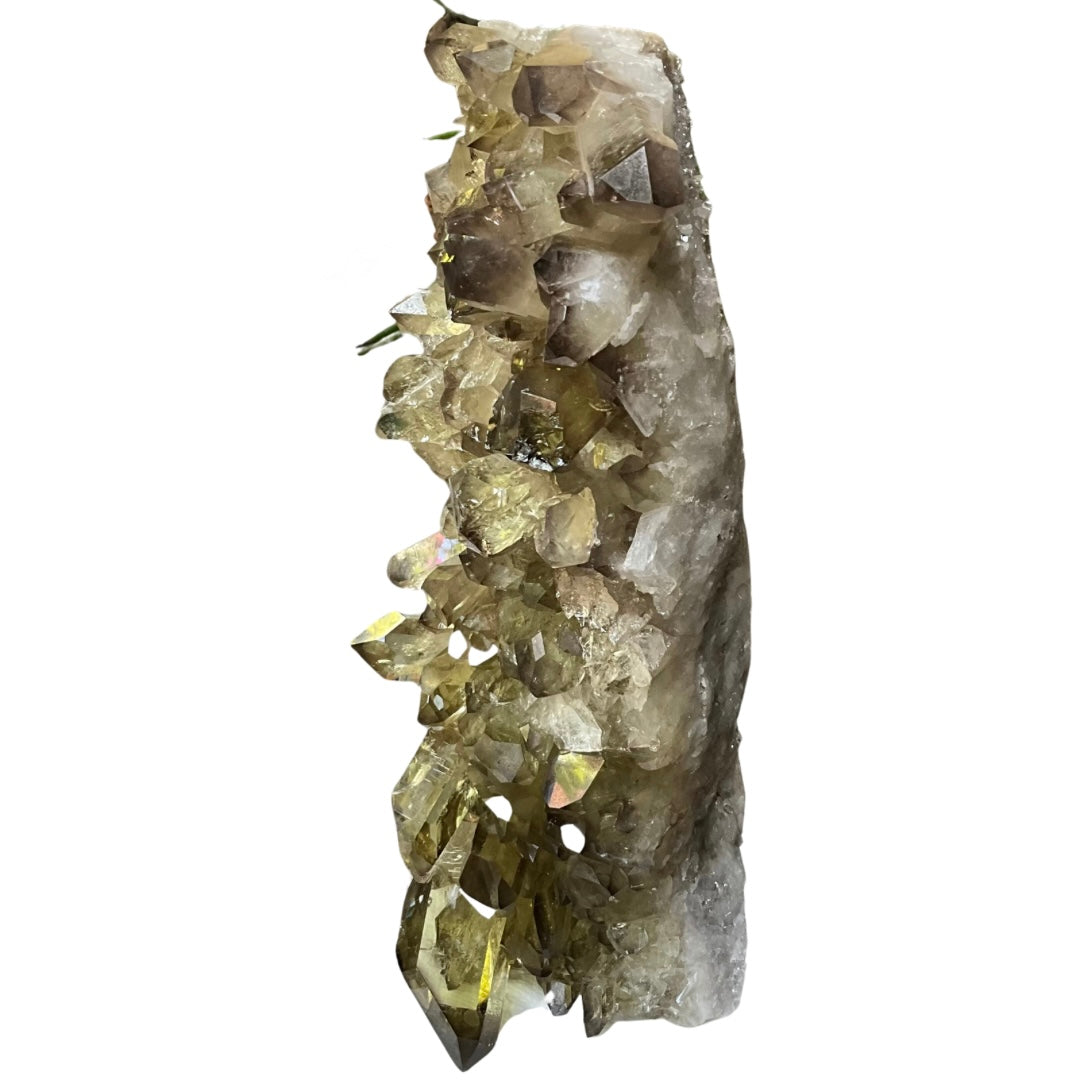 Citrine Generators Free-Standing Crystal