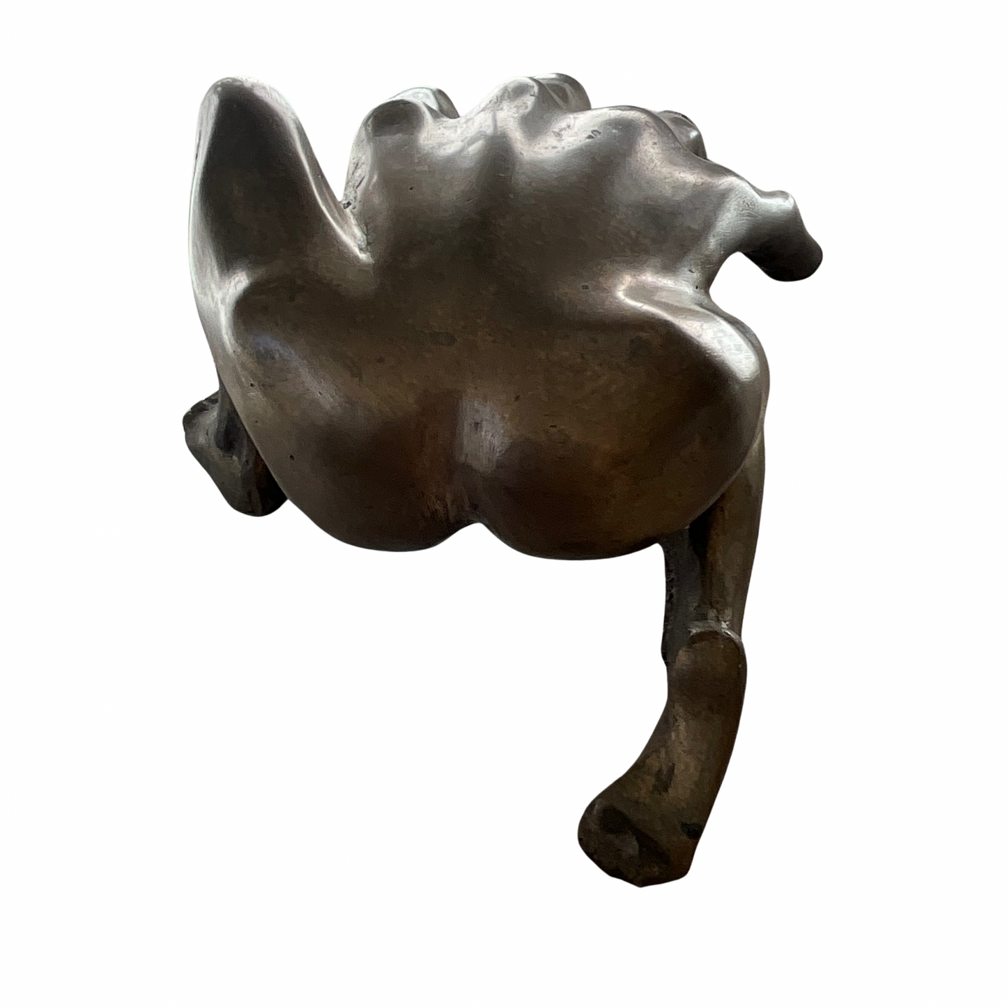 Solid Bronze Anatomical Abstract Sculpture