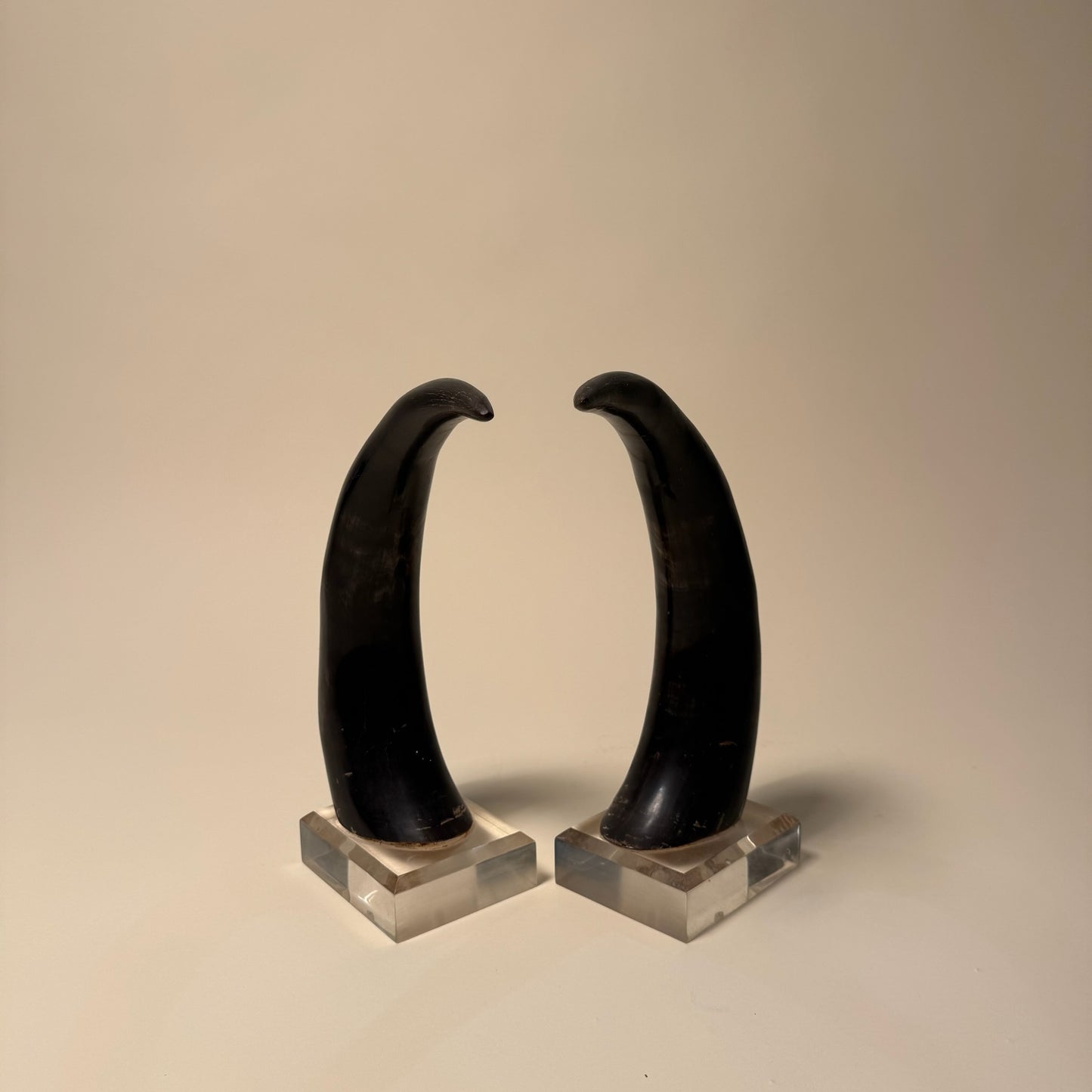 Black Horns with Lucite Holder