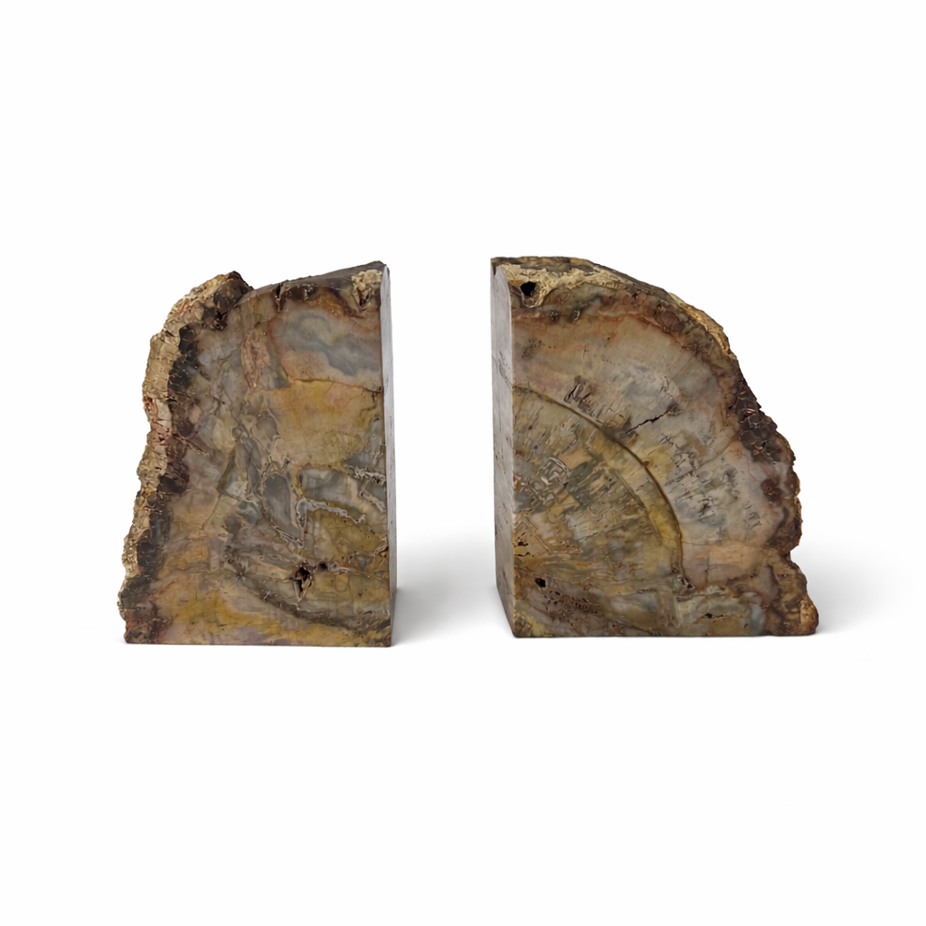 Hand Polished Petrified Wood Book Ends