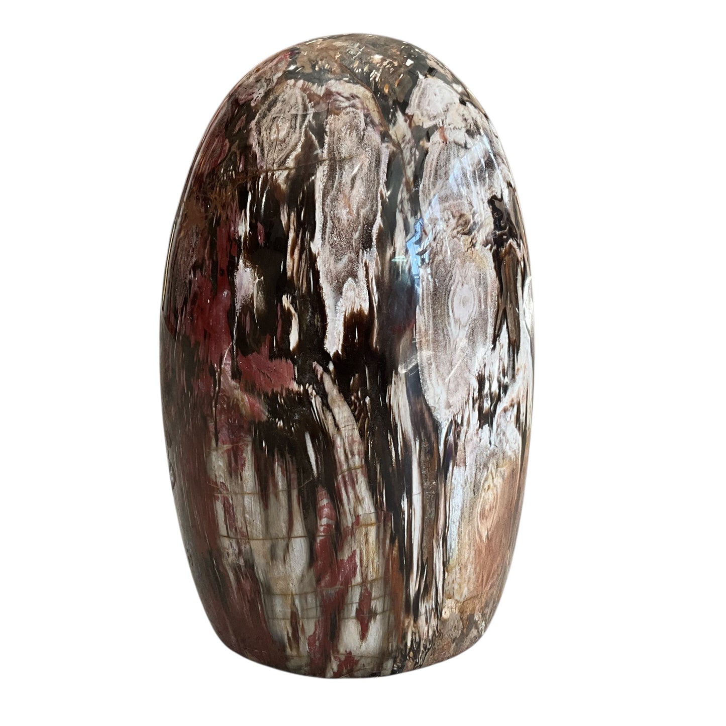 Madagascar Petrified Wood #2