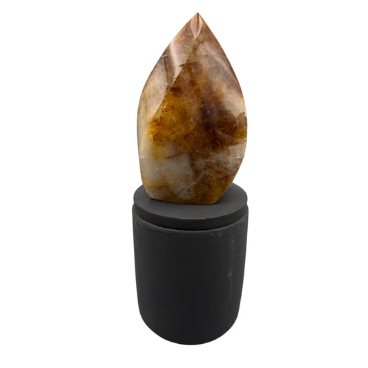 369 For House of Nulla Black Rose Candle with Golden Healer 12