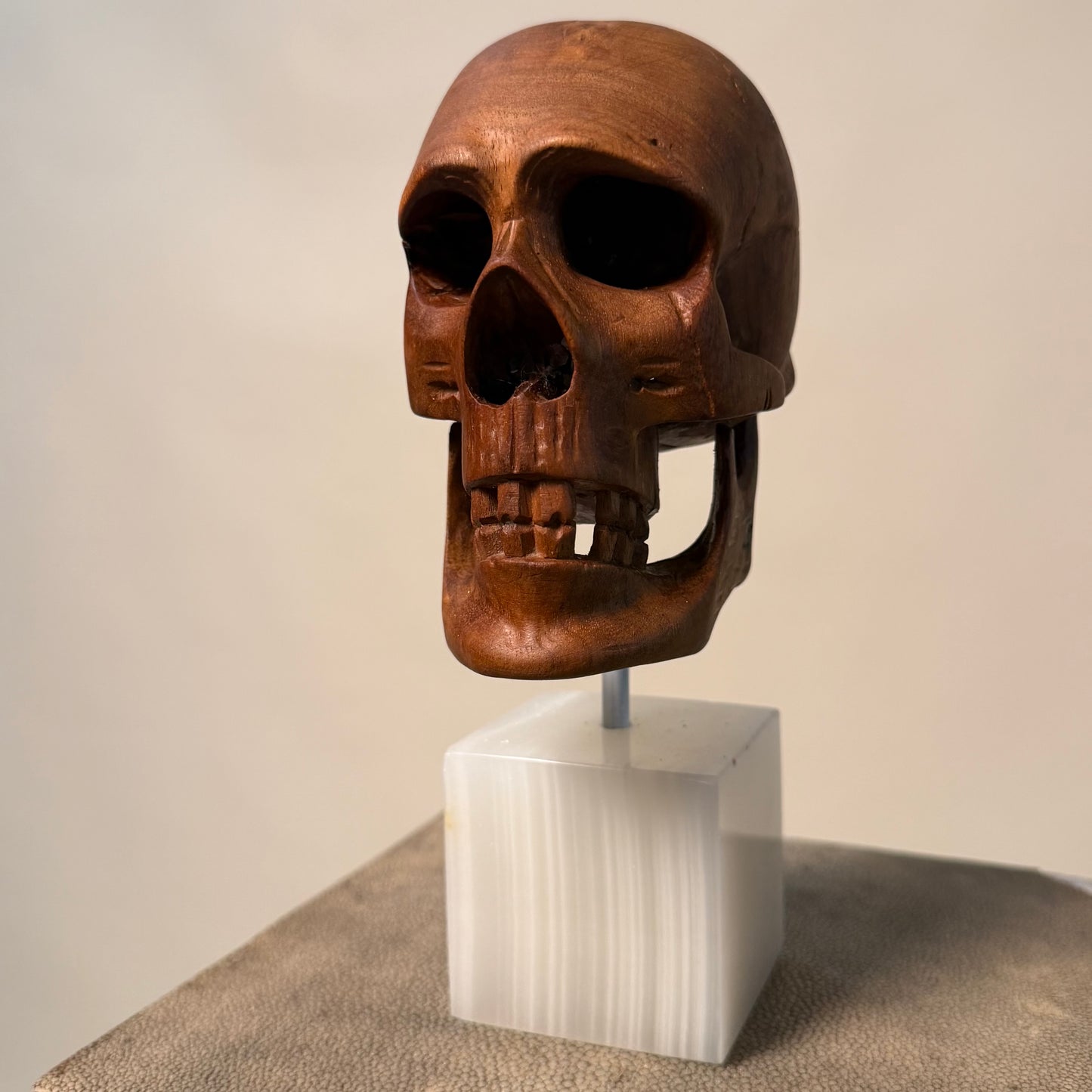 Carved Wood Momento Mori Skull on Onyx Base
