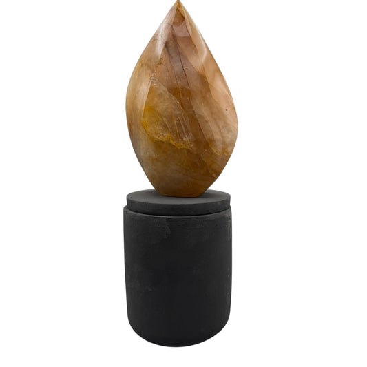369 For House of Nulla Black Rose Candle with Golden Healer 17
