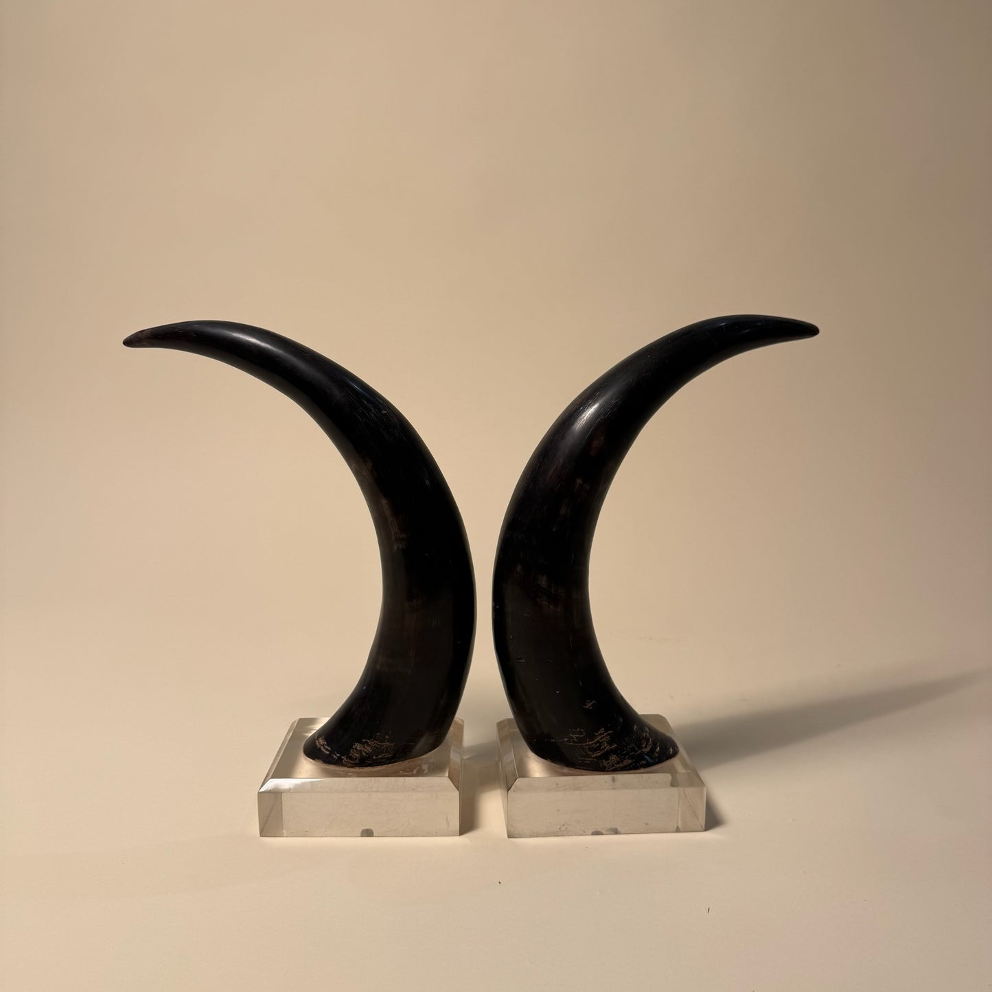 Black Horns with Lucite Holder