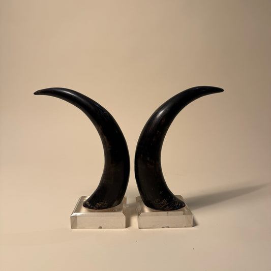 Black Horns with Lucite Holder