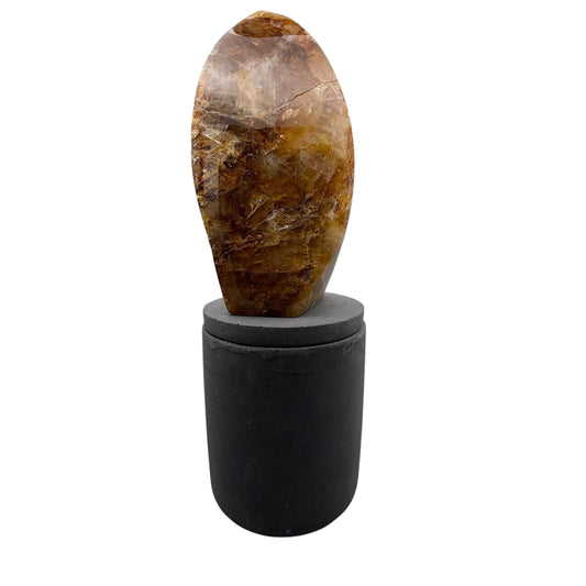 369 For House of Nulla Black Rose Candle with Golden Healer 18