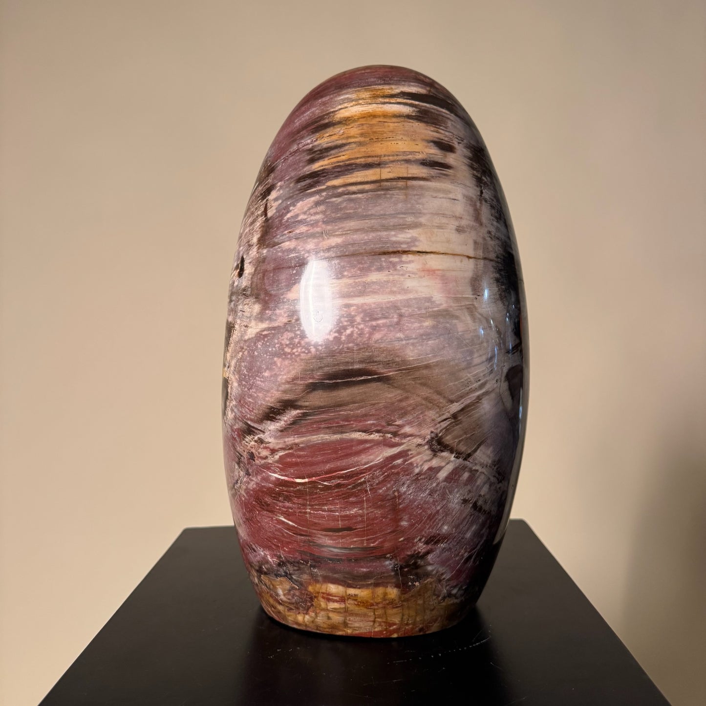 Madagascar Petrified Wood #3