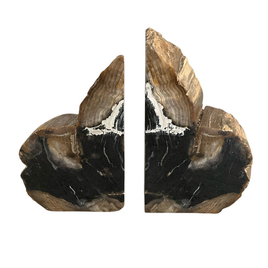 Petrified Wood Asymmetrical BookEnds