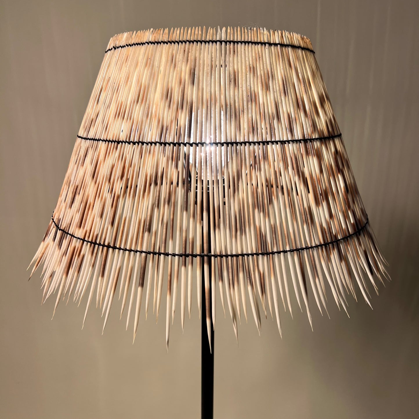 Horn Lamp with Porcupine Quill Shade