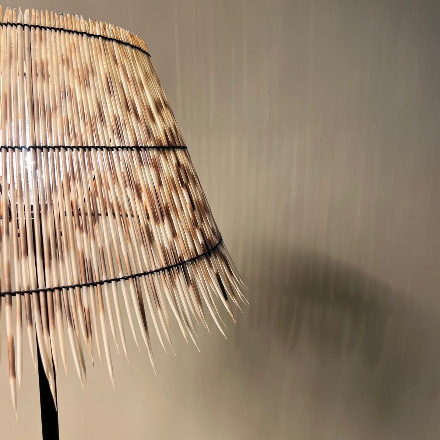 Horn Lamp with Porcupine Quill Shade