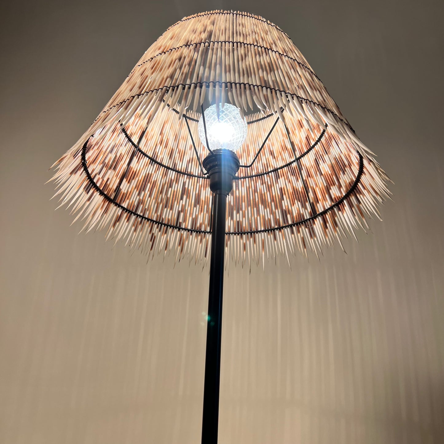 Horn Lamp with Porcupine Quill Shade