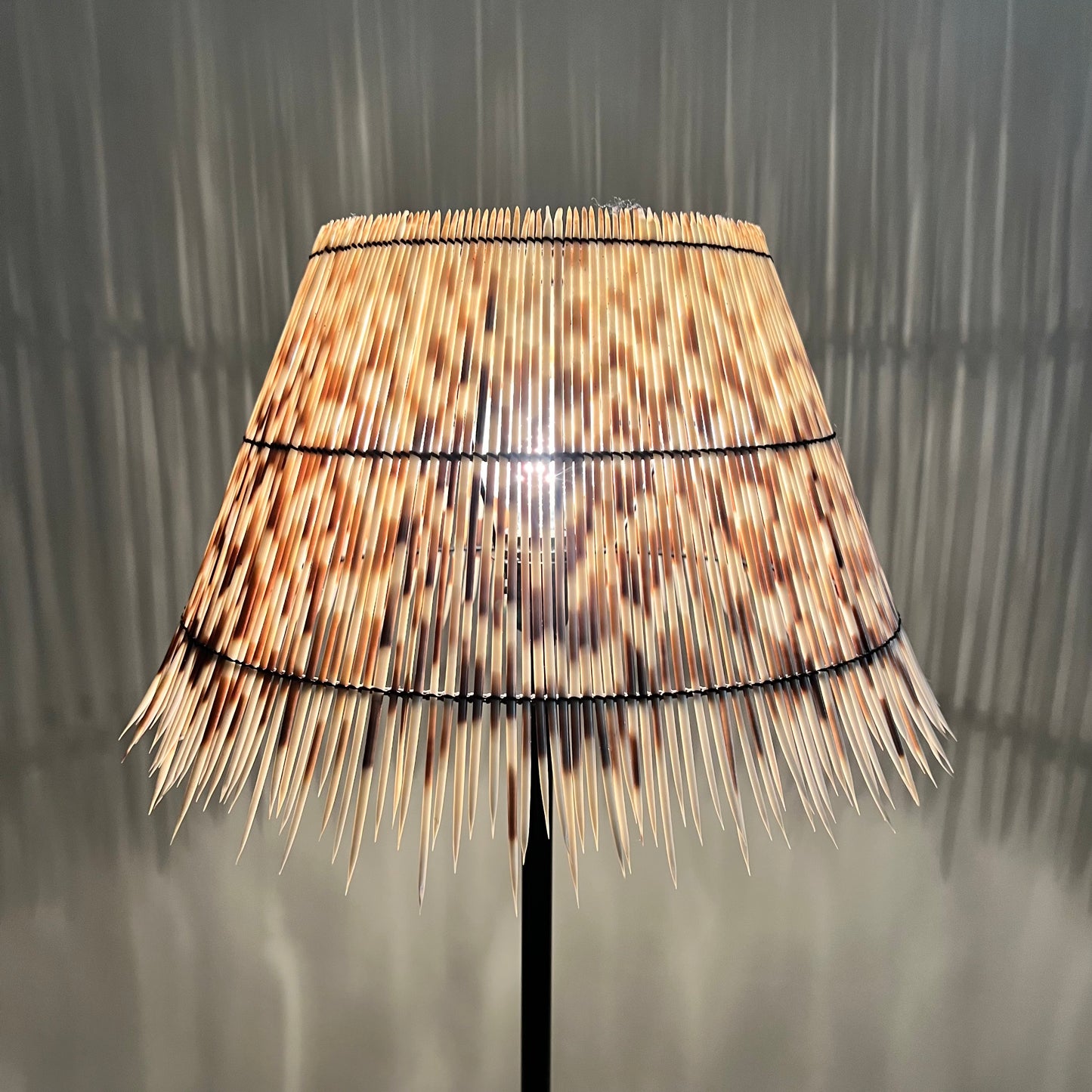 Horn Lamp with Porcupine Quill Shade