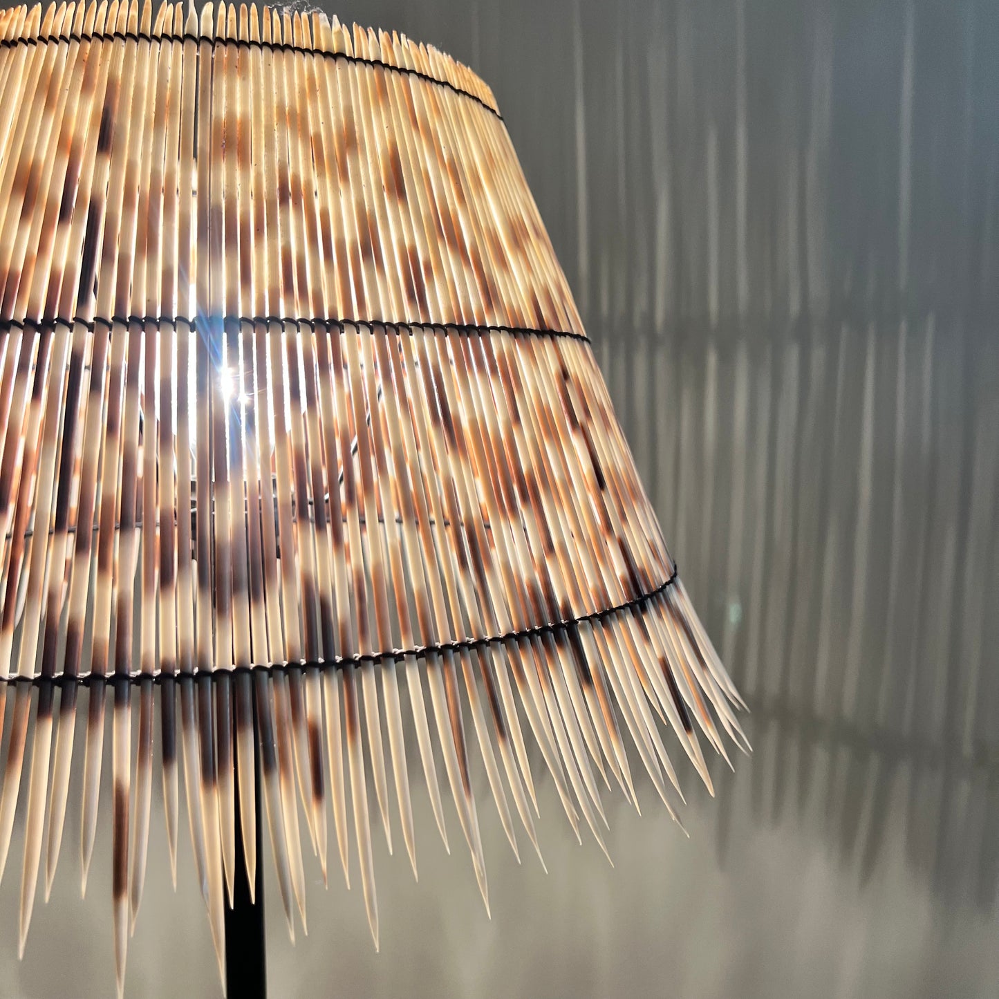 Horn Lamp with Porcupine Quill Shade