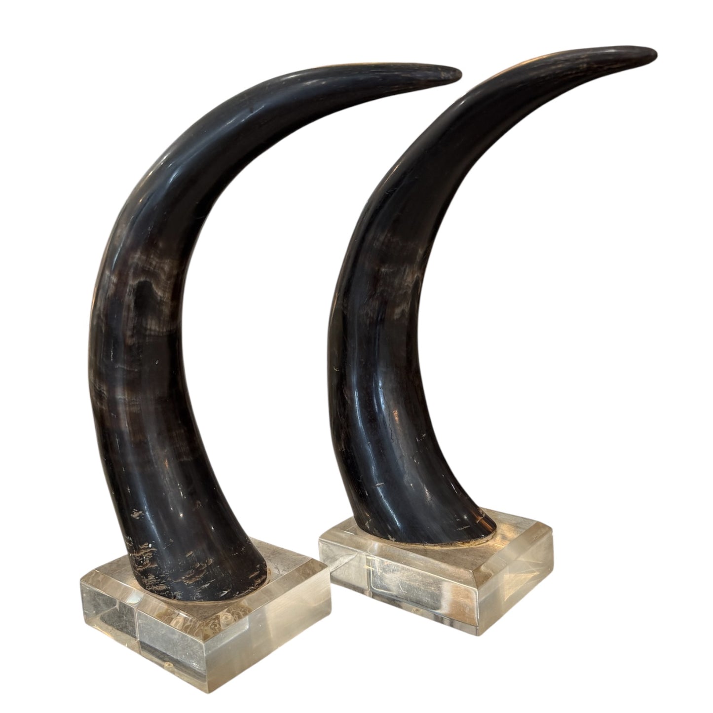 Black Horns with Lucite Holder
