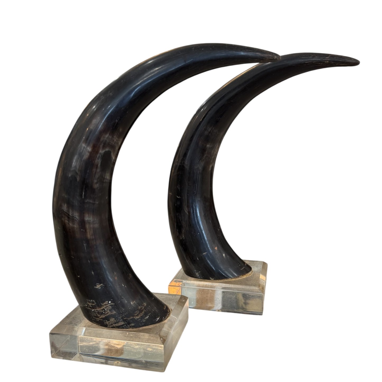 Black Horns with Lucite Holder