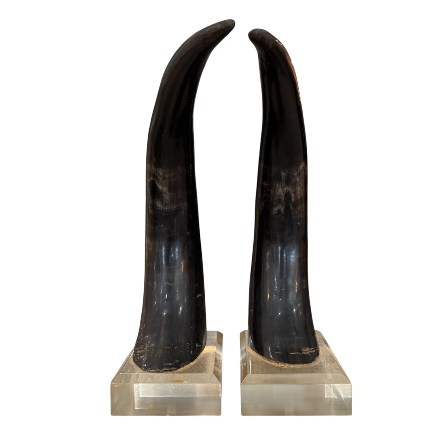 Black Horns with Lucite Holder