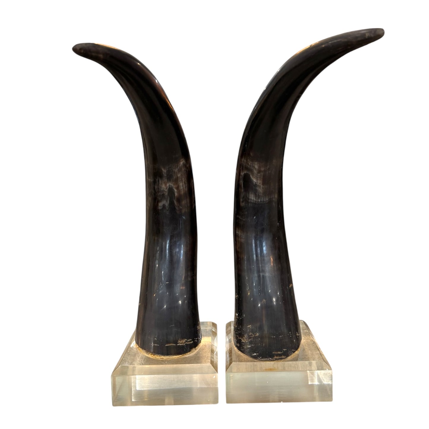 Black Horns with Lucite Holder