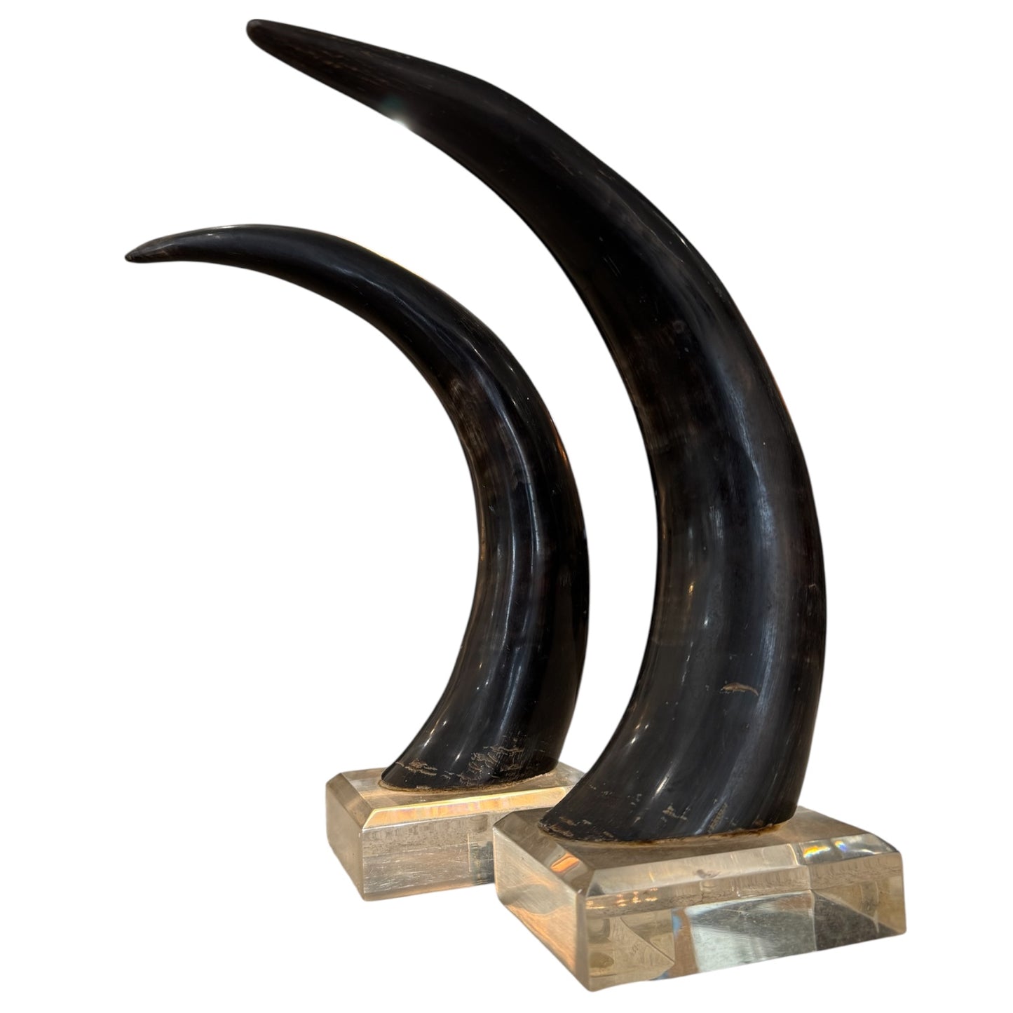 Black Horns with Lucite Holder