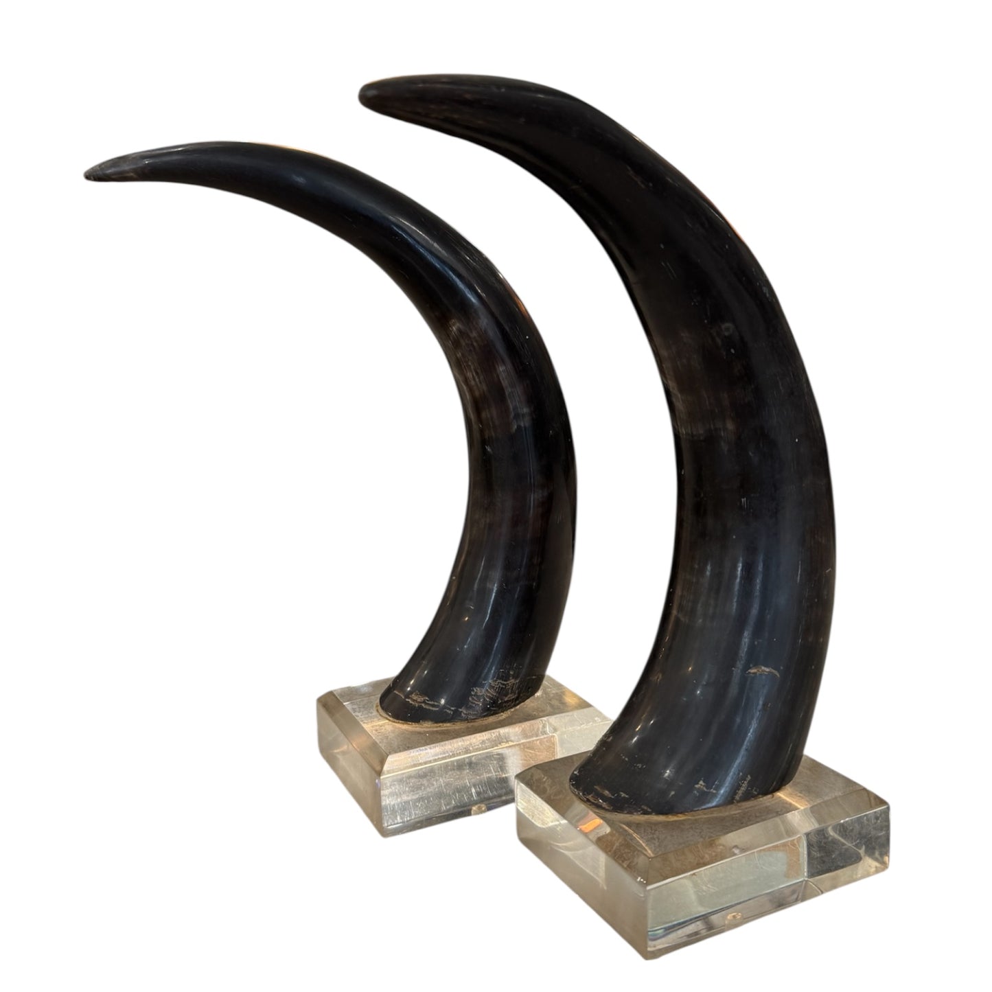 Black Horns with Lucite Holder