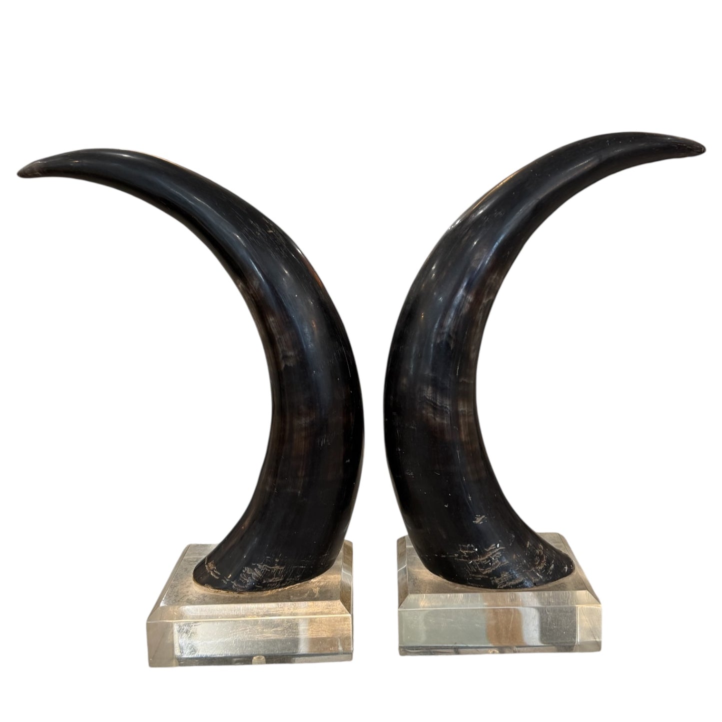 Black Horns with Lucite Holder