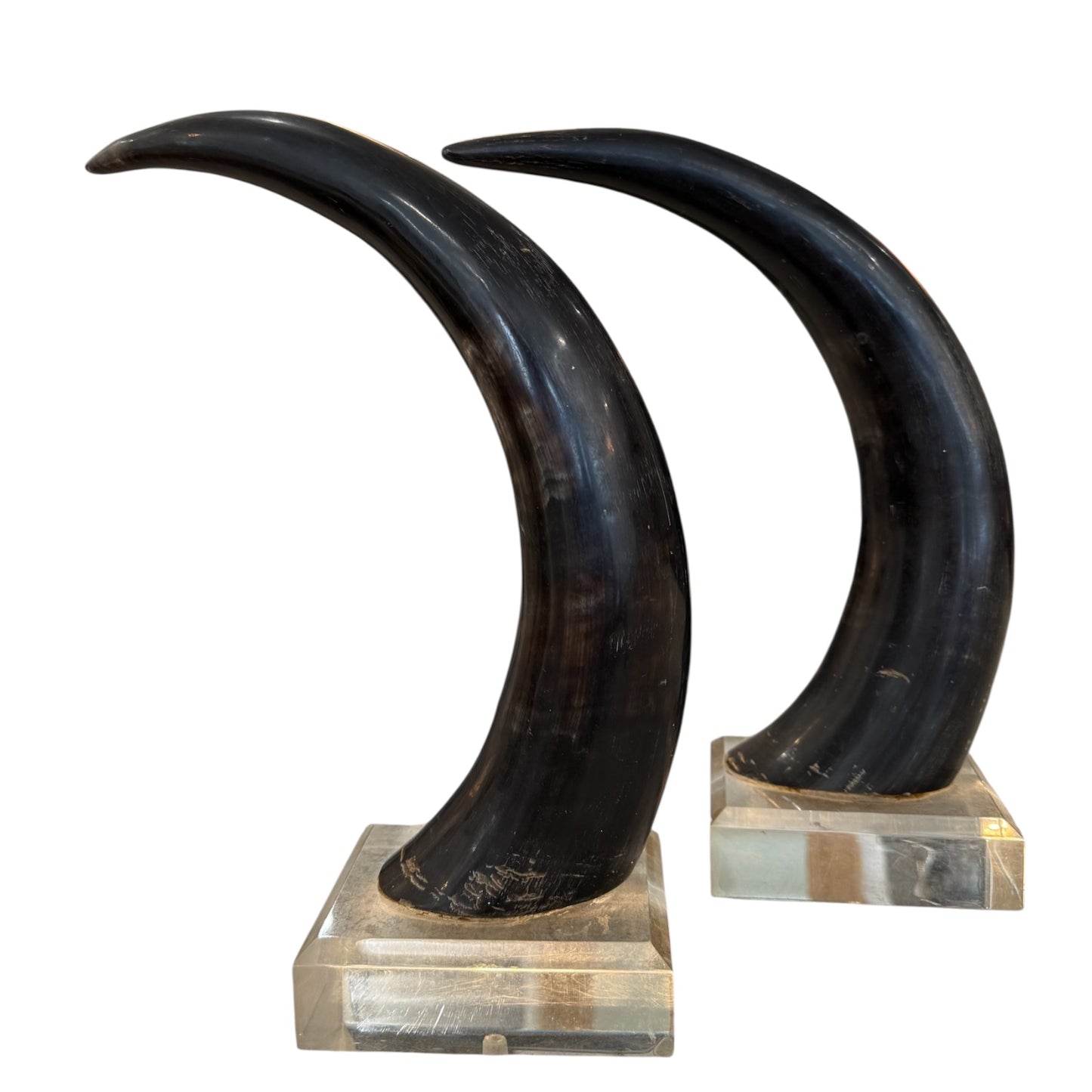 Black Horns with Lucite Holder