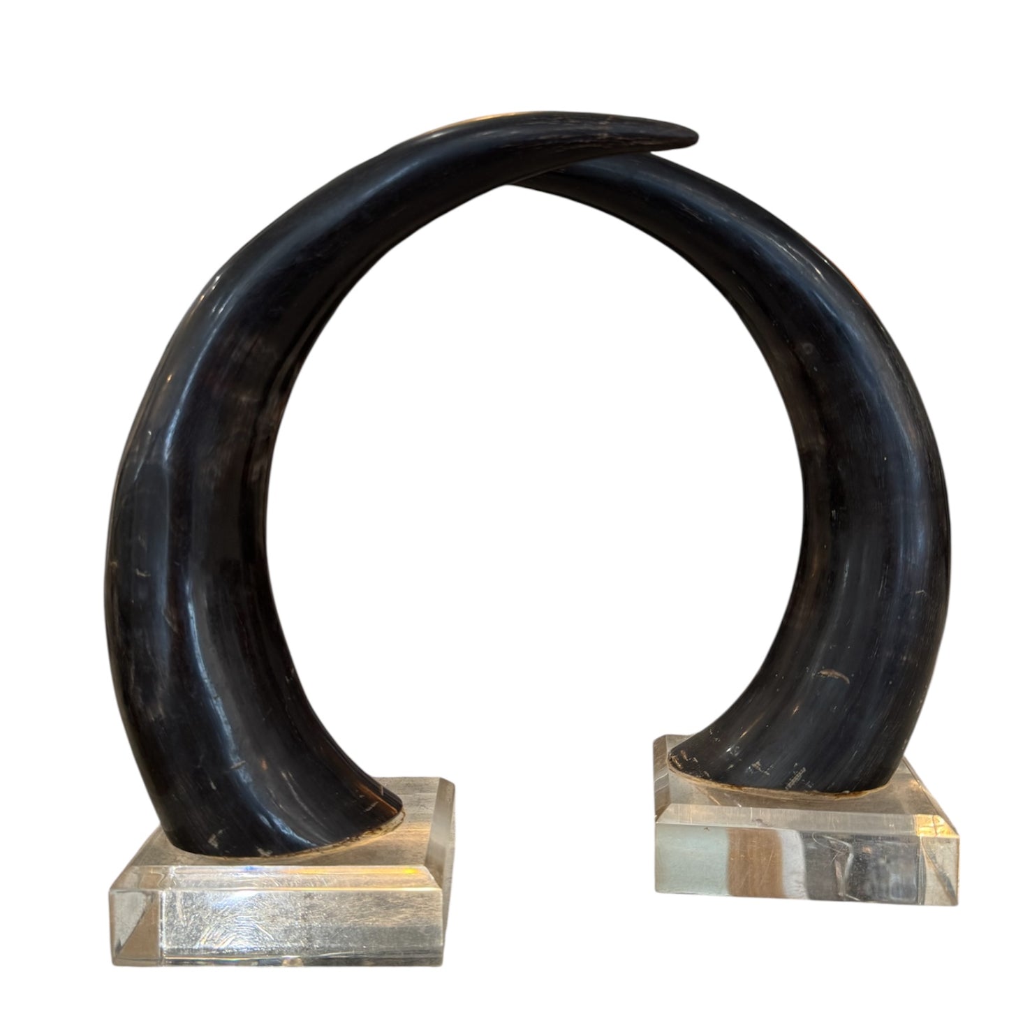 Black Horns with Lucite Holder